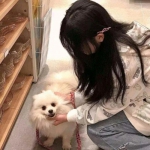 威剑苍穹果盘手游下载